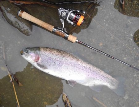 天竜川ルアーフライ専用区